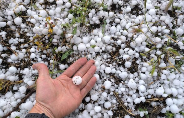 Tormentas de pedrisco 2025