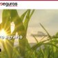 Consorseguros