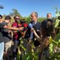 Daños pedrisco La Rioja