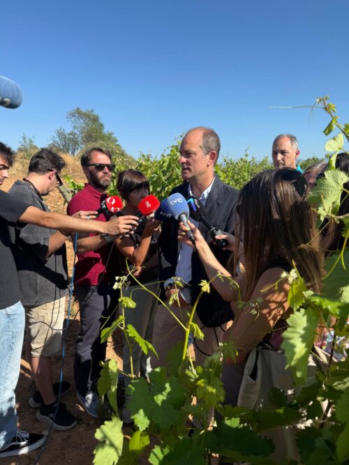 Daños pedrisco La Rioja