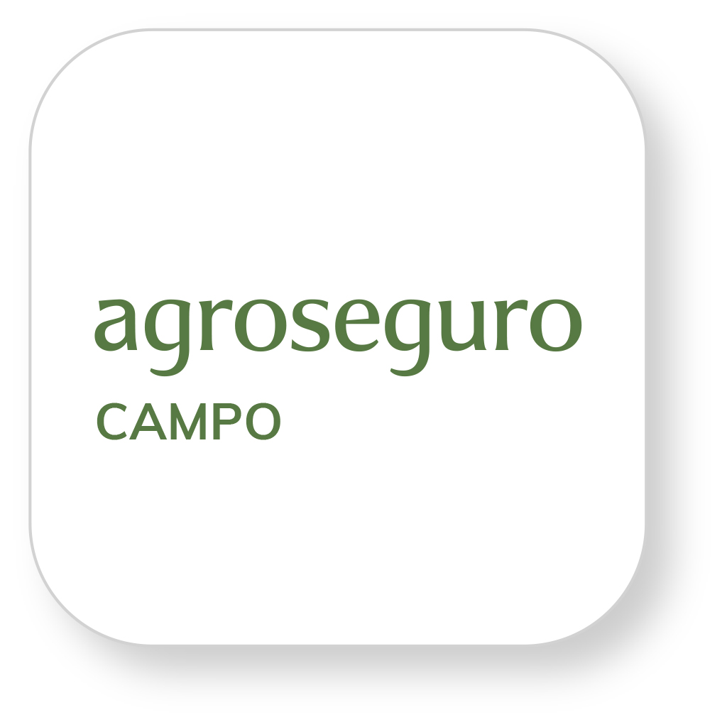 campo blanco