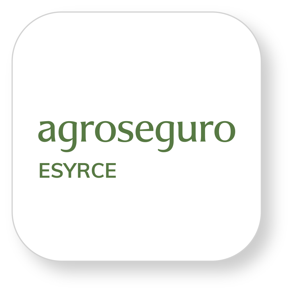 esyrce blanco