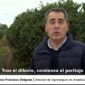 Juan Francisco Delgado_DT Andalucía