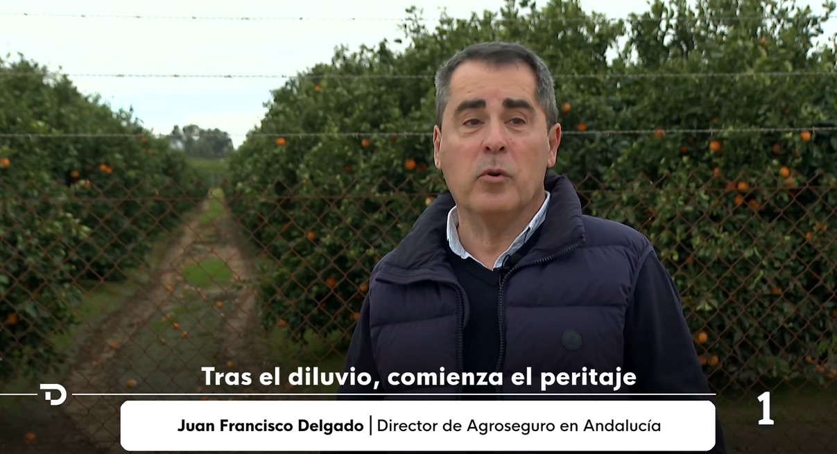 Juan Francisco Delgado_DT Andalucía