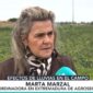 Marta Marzal_Canal Extremadura