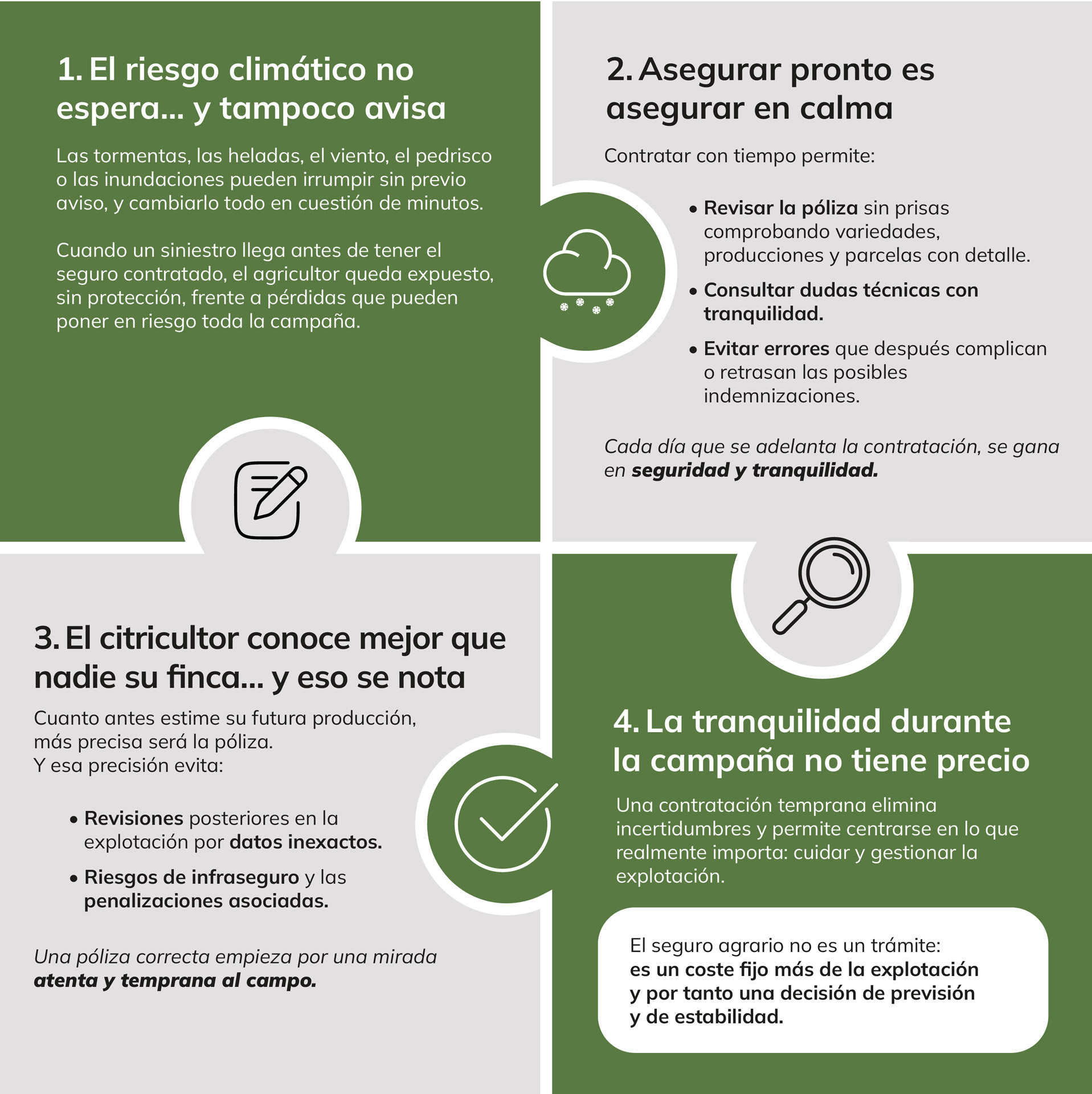 Ventajas de contratar el seguro de cítricos pronto