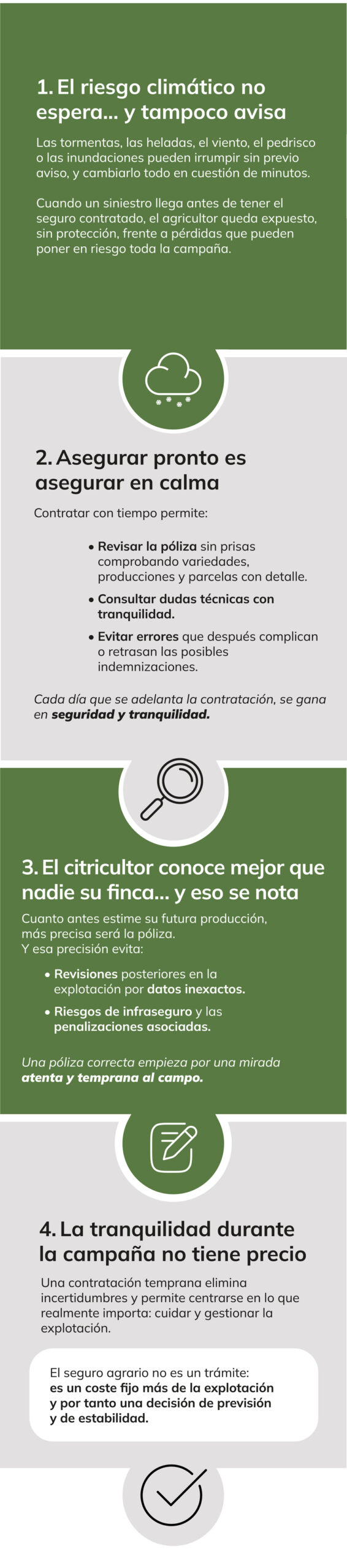 Ventajas de contratar el seguro de cítricos pronto